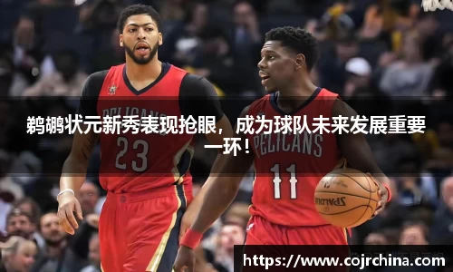 HB火博体育官方网站